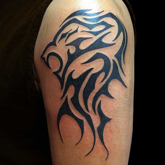 The first thing yo will look for is a design that you like such as tribal lion tattoo designs for men above. No matter if the design is complex or simple, a tribal tattoo can be quite complicated to make.