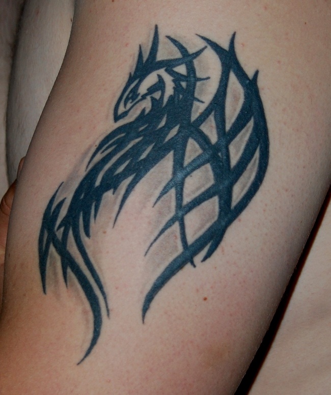 Tribal Dragon Tattoo Designs...