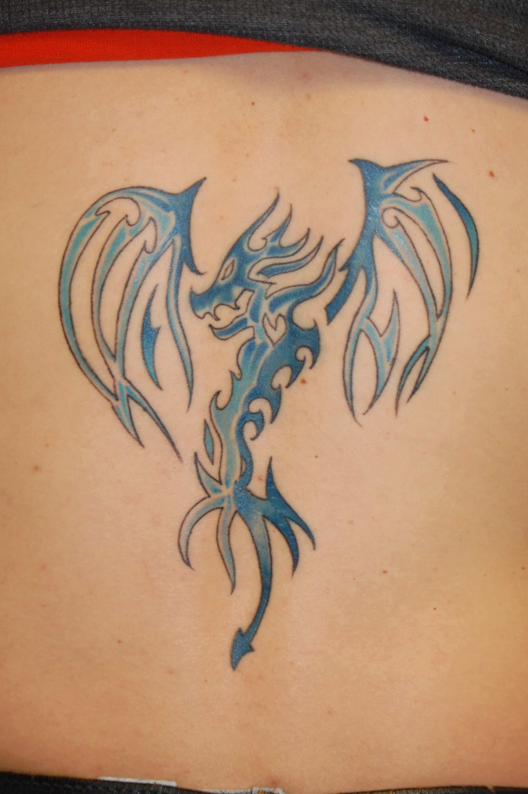 Celtic Dragon Tattoo Designs pictures