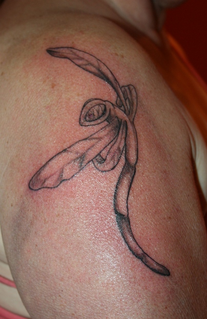 Dragonfly Tattoo Designs for Men