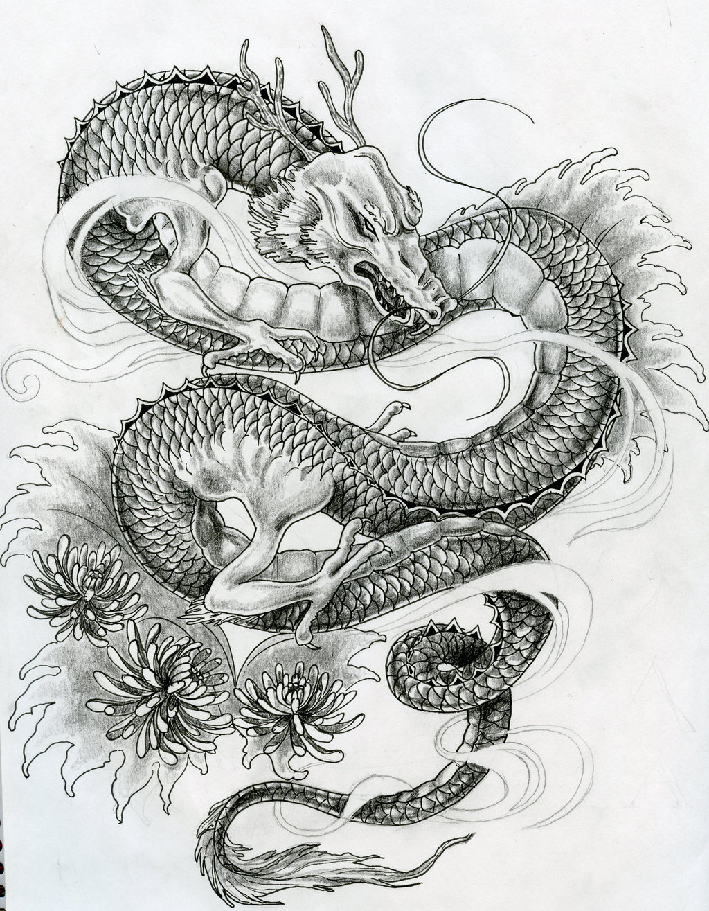 Japanese Dragon Tattoo Designs Dragon