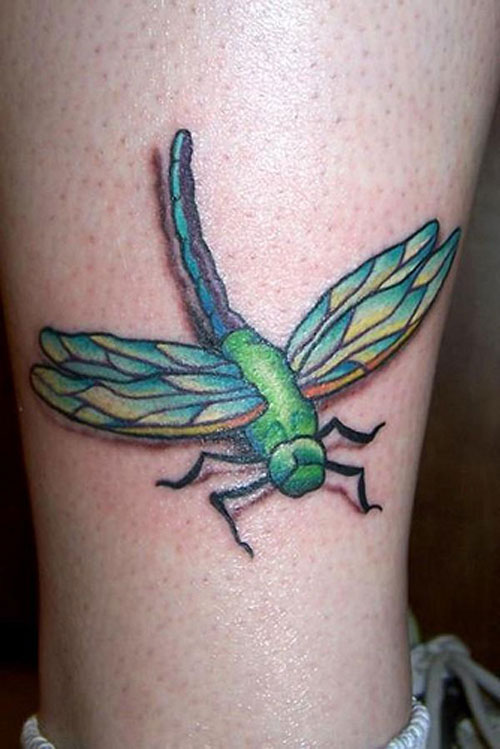 sitting-dragonfly-tattoo