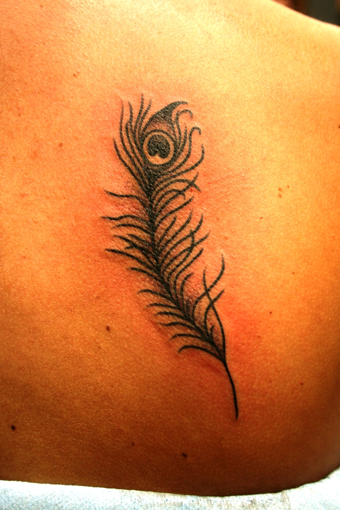 Pictures-of-Peacock-Feather-Tattoos