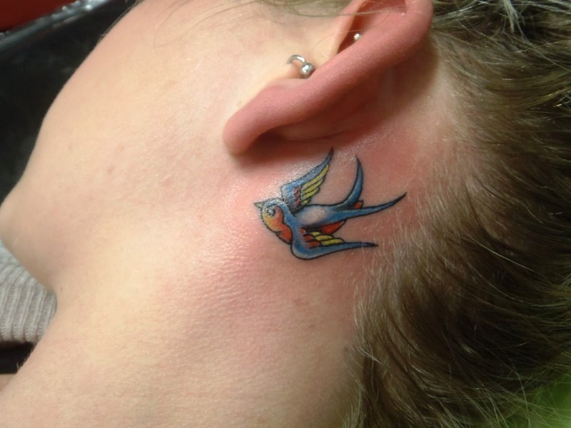 blue_small_bird_tattoo_behind_ear