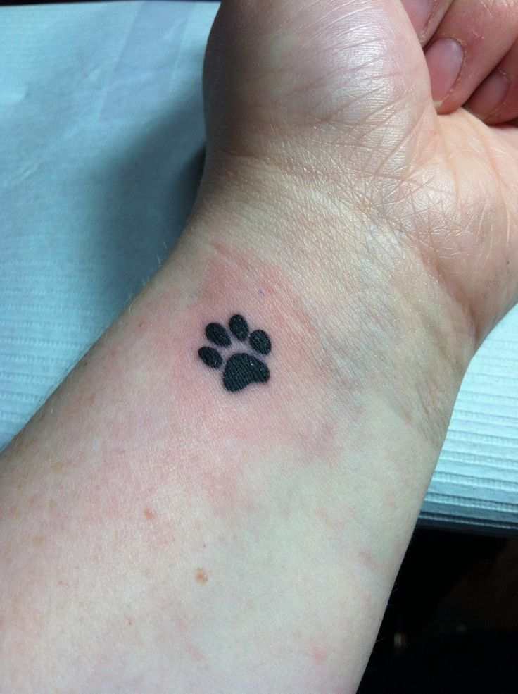 small dog tattoos