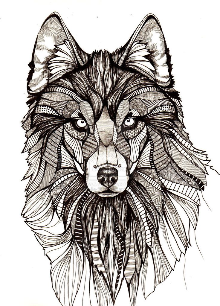 aztec-wolf-drawing
