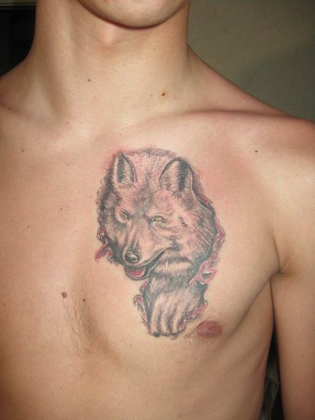 black-wolf-tattoos-for-men-on-chest