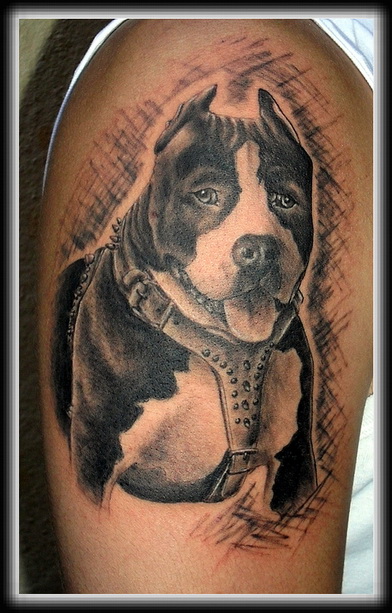 dog-tattoo-designs-new