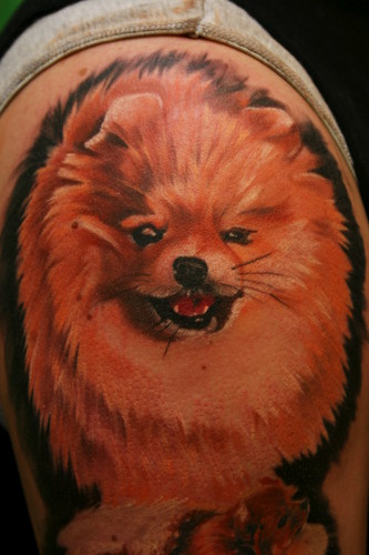 dog-tattoos-pomeranian