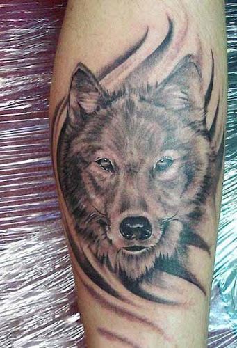 italian-wolf-tattoo