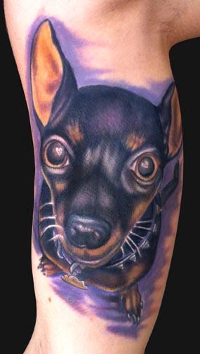 min-pin-dog-tattoo-design