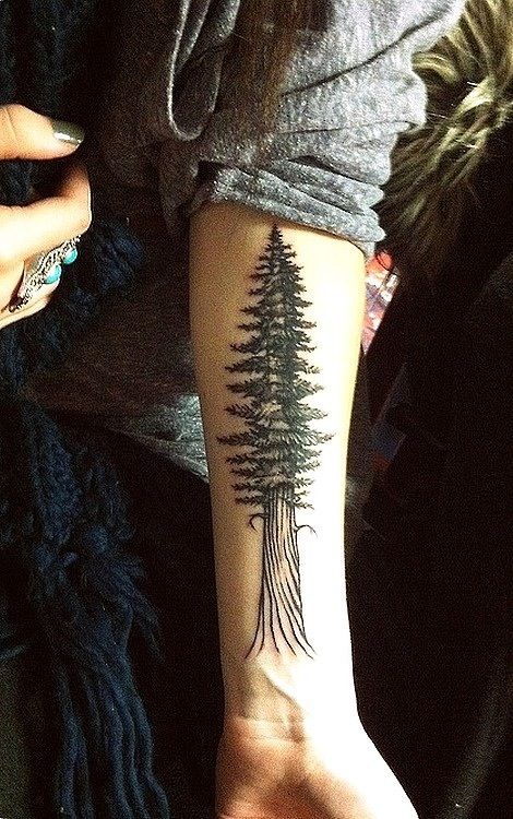 redwood-tree-tattoo