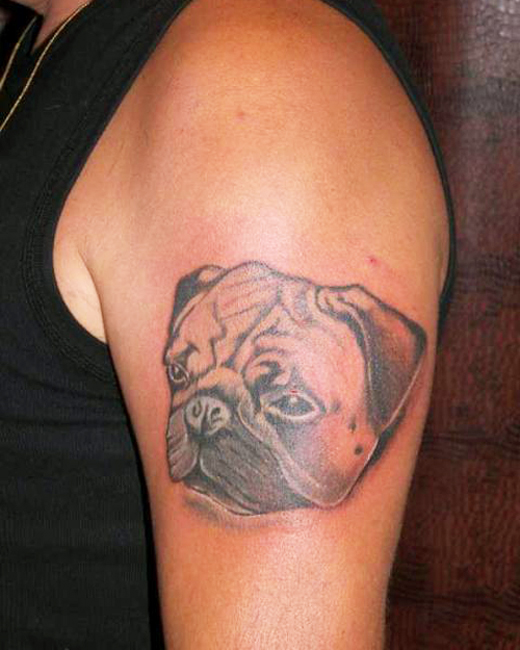 small-dog-tattoos
