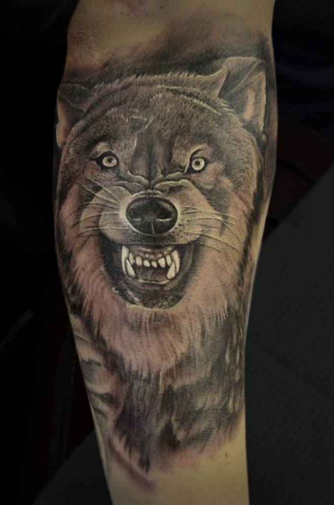 snarling-wolf-face-tattoo