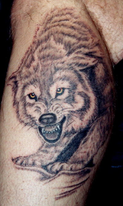 snarling-wolf-tattoo-2013