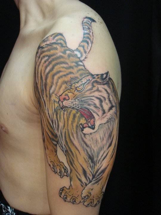 tiger-tattoo-drawing