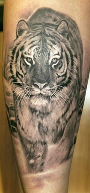 tiger-tattoo-on-arm-ideas