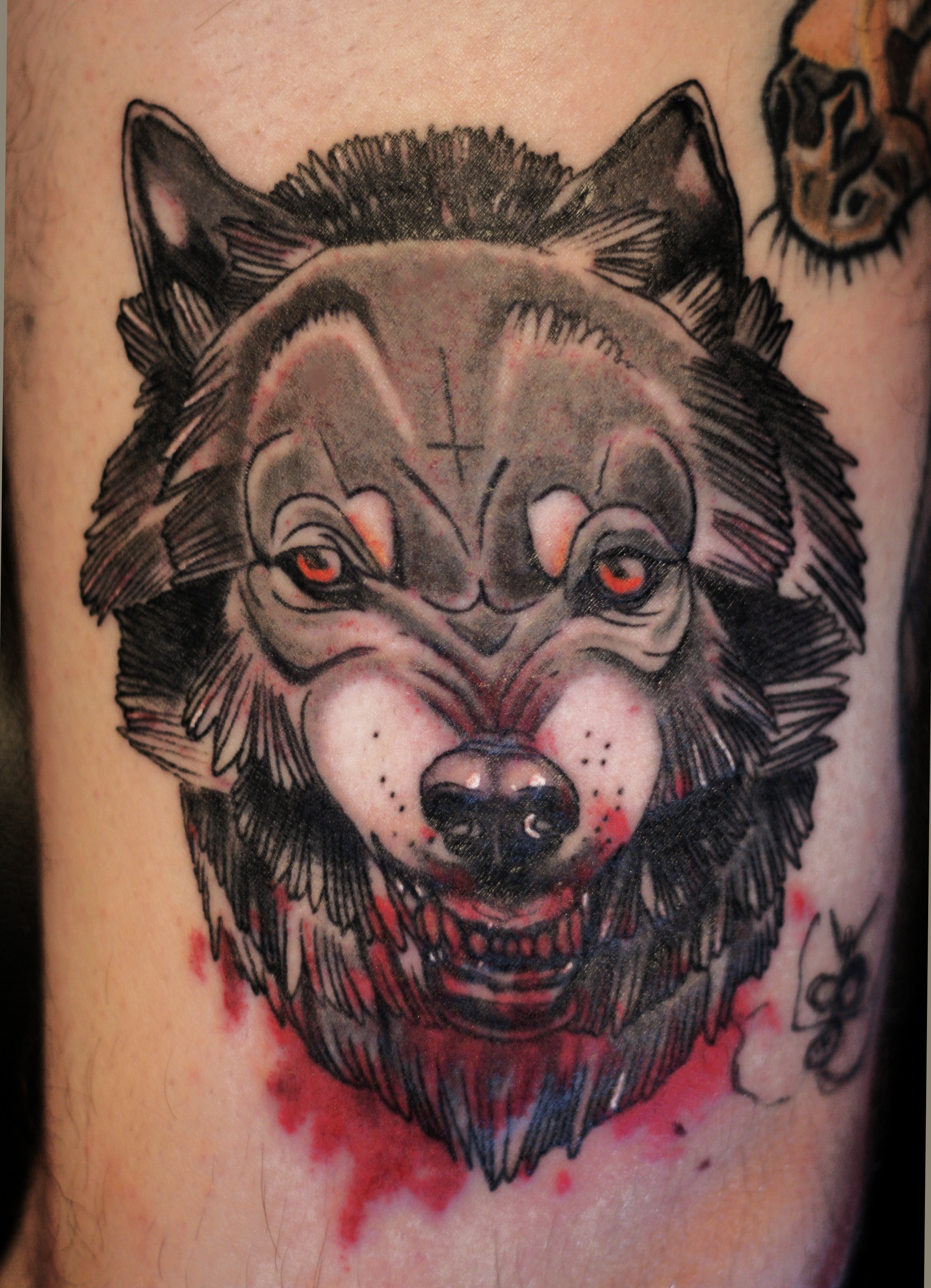 traditional-wolf-tattoo