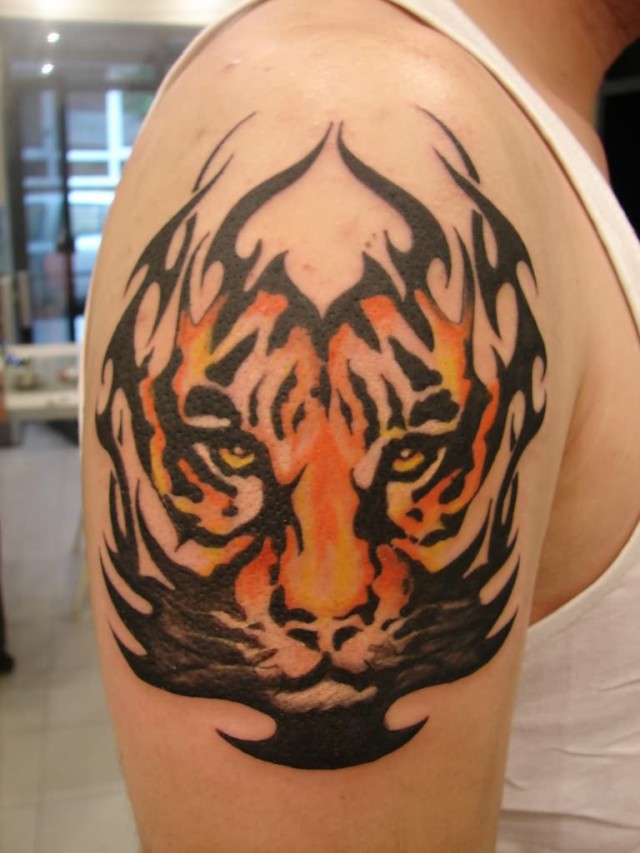 tribal-tiger-tattoo-design