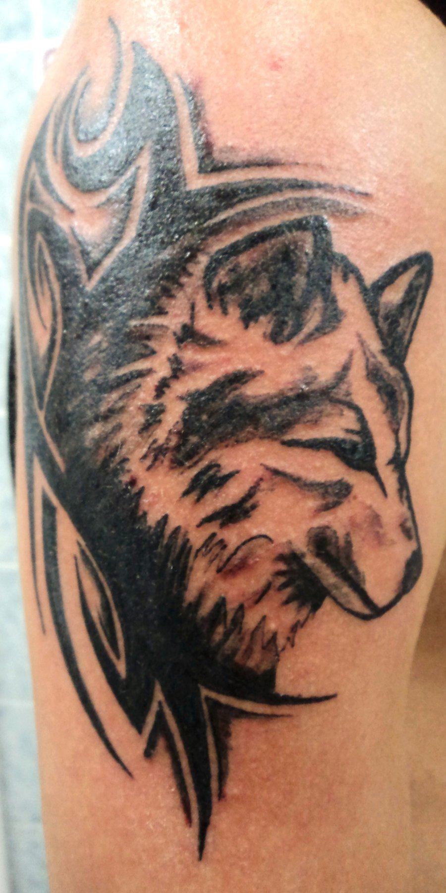 tribal-wolf-tattoo-new