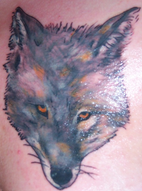 wolf-head-chest-tattoo-design