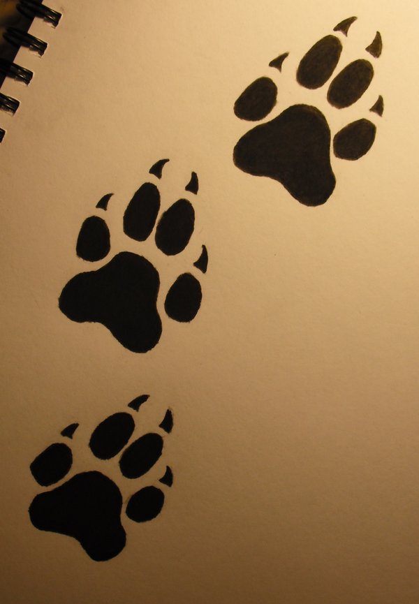 wolf-paw-print-tattoo-designs-copy