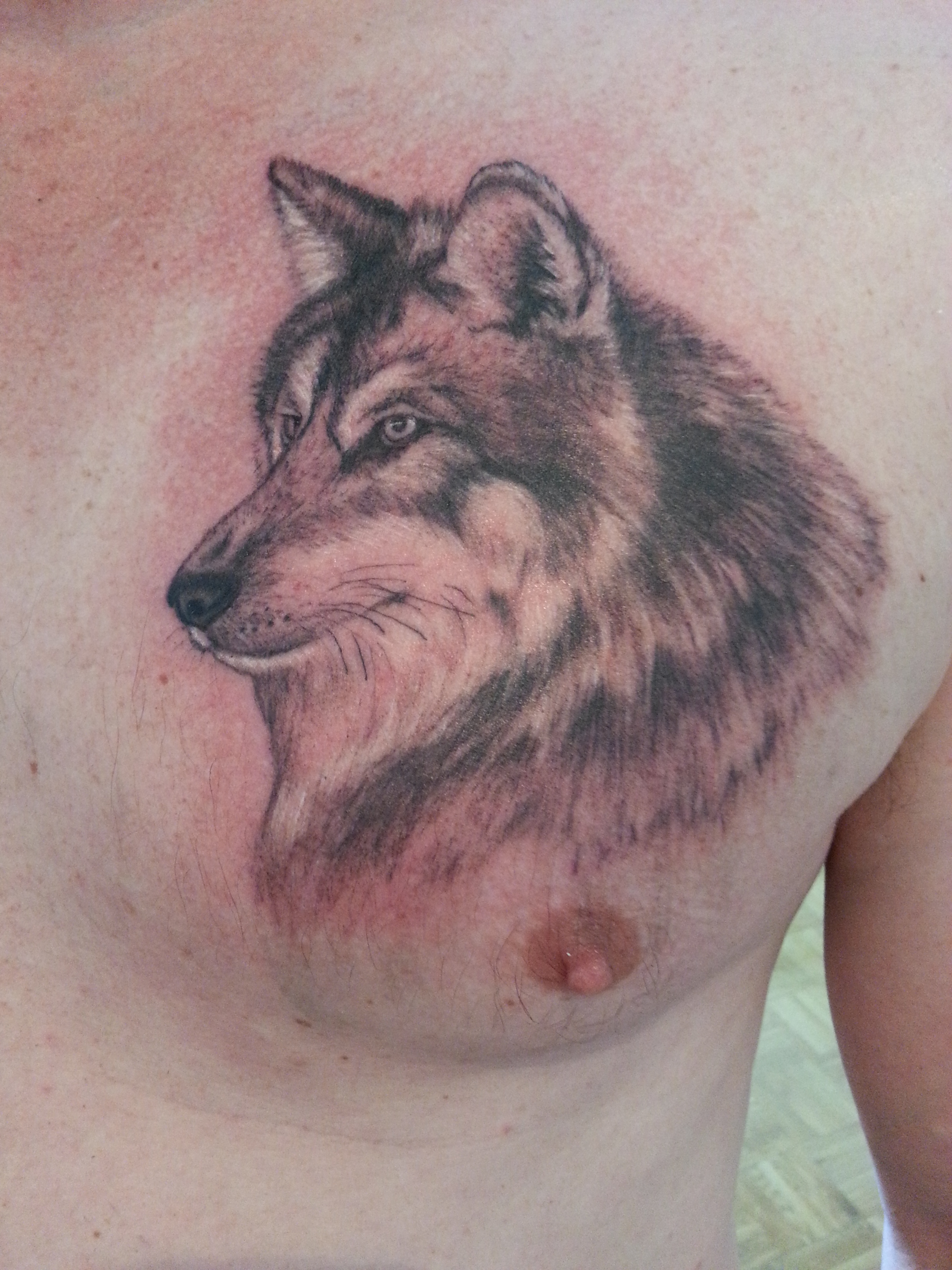 wolf-pup-tattoo