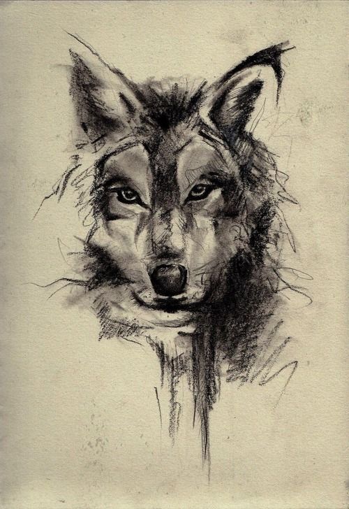 wolf-tattoo-drawings-tumblr