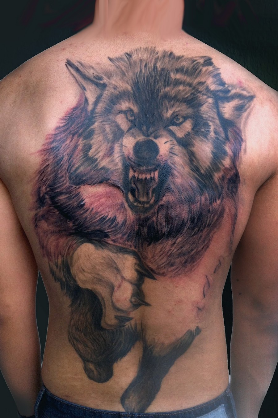 wolf-tattoo-on-back-2011