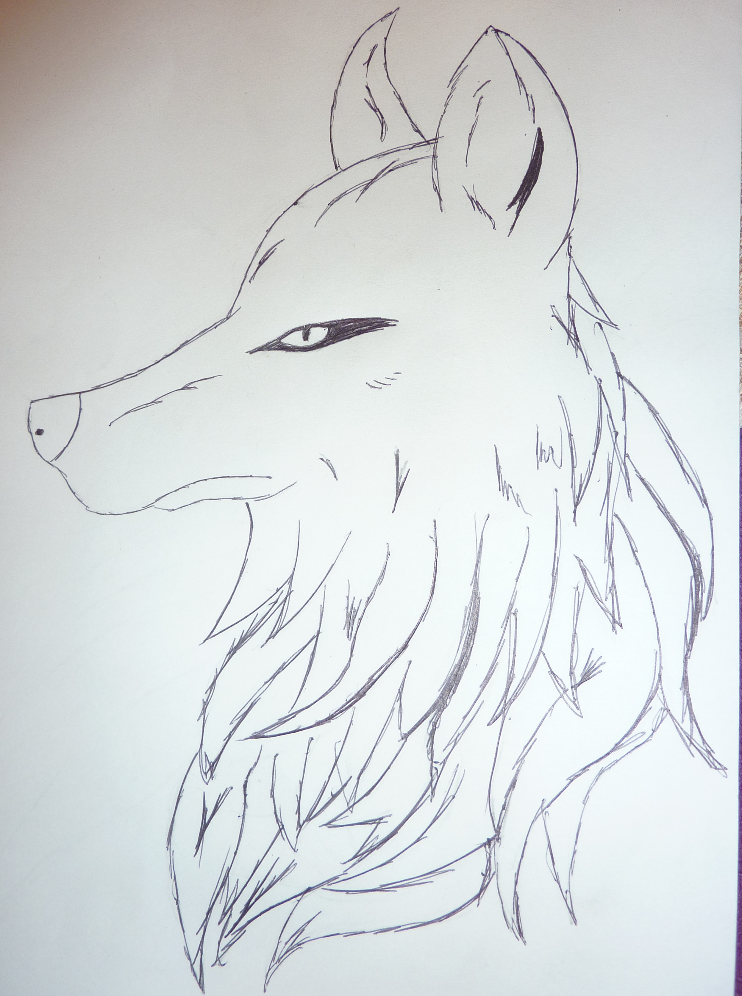 wolf-tattoos-drawings-new-ideas