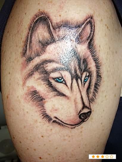 wolf-tattoos-gallery