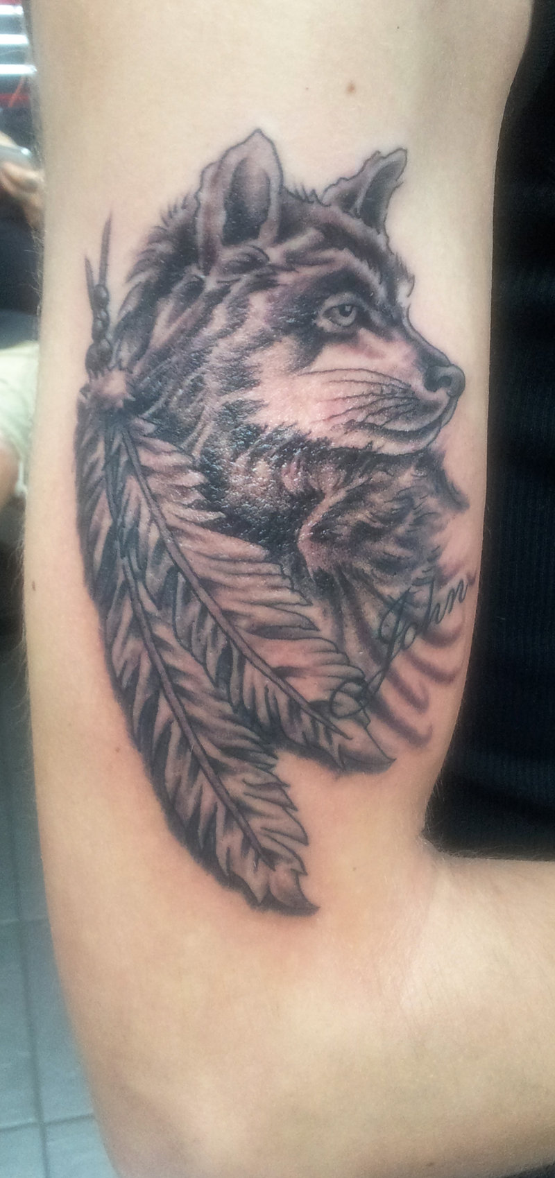 wolf-with-feathers-tattoo