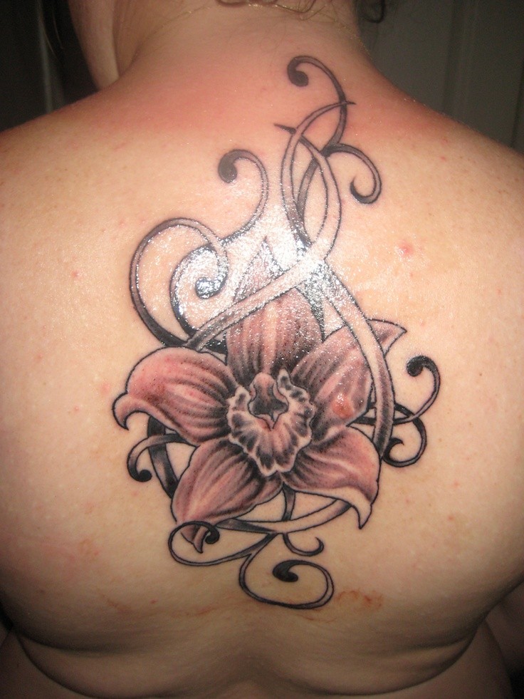 Cattleya Orchid Tattoo Designs