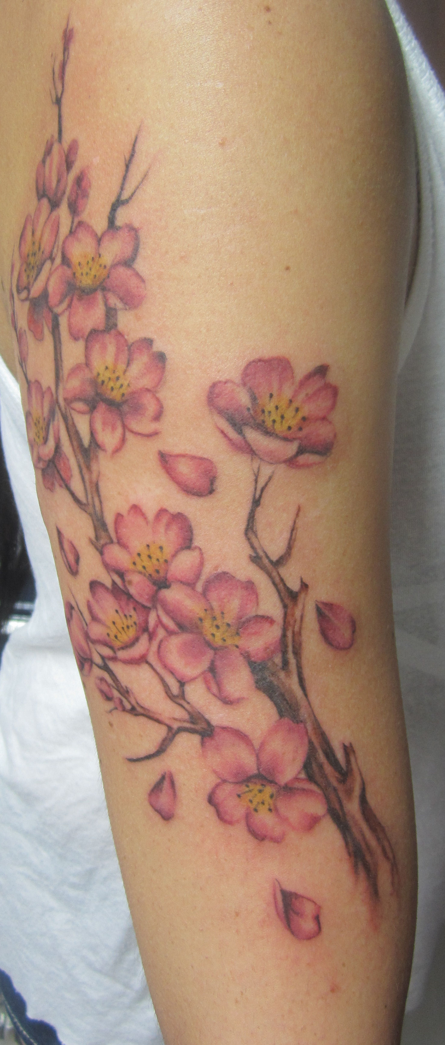 Cherry Blossom Tattoo 2017