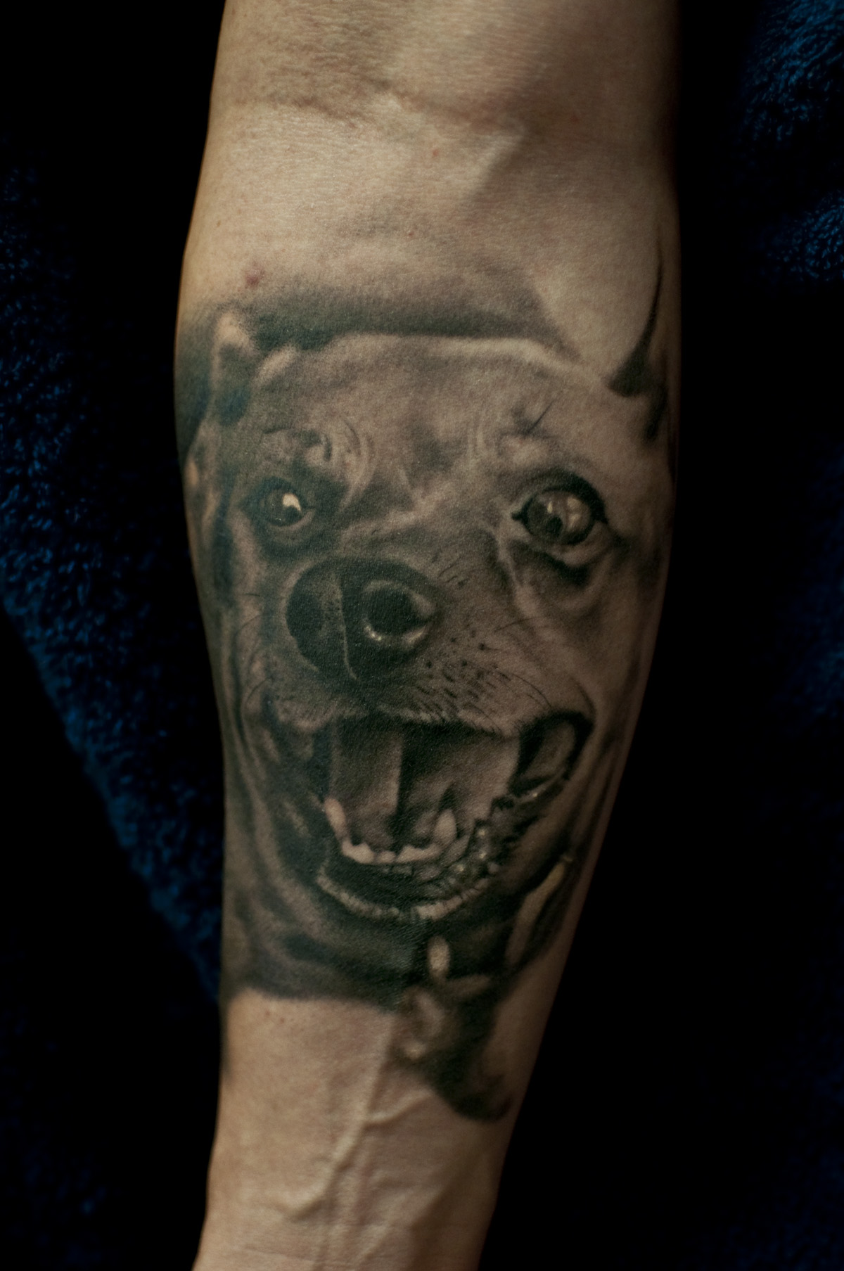 Dog Portrait Tattoo Artist
