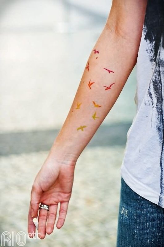Flying Small Birds Watercolor Tattoo On Right Forearm