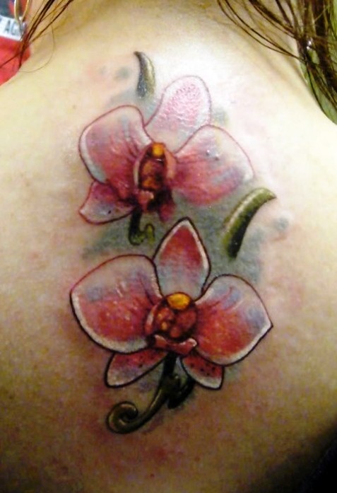 Hawaiian Orchid Tattoo