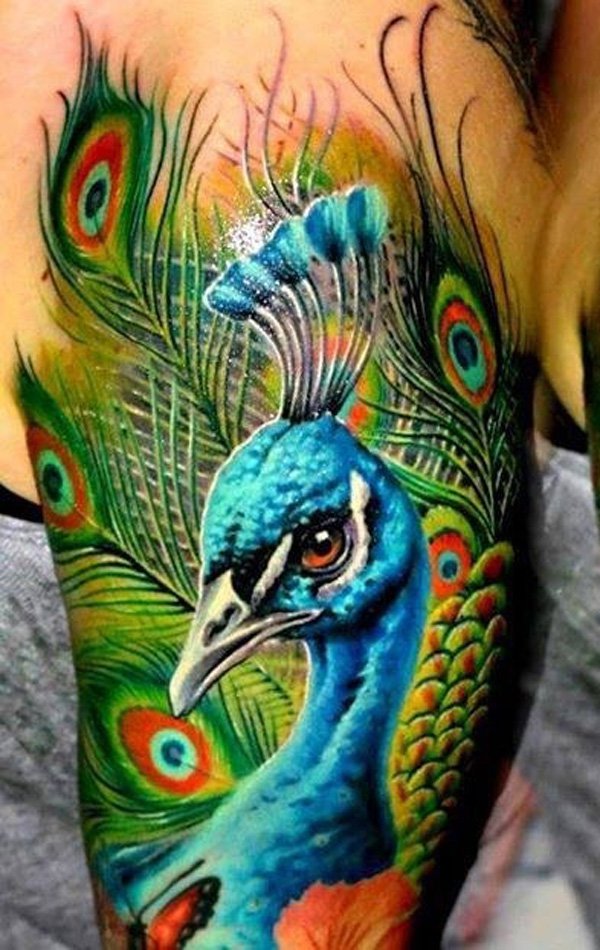 Peacock Tattoo Design