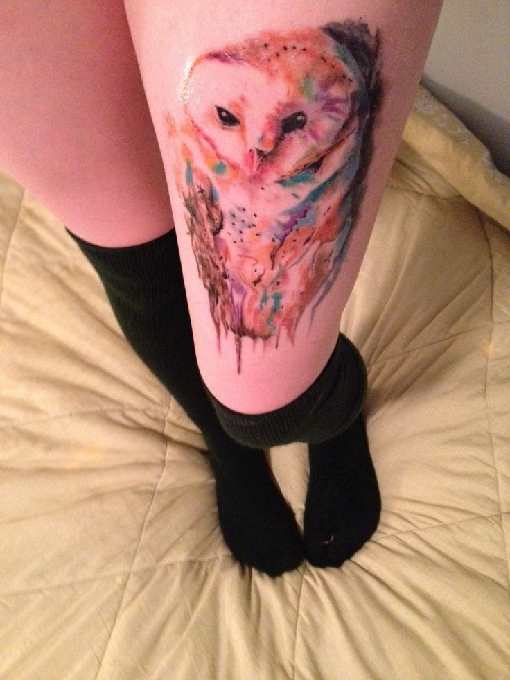 Pinterest Watercolor Owl Tattoo