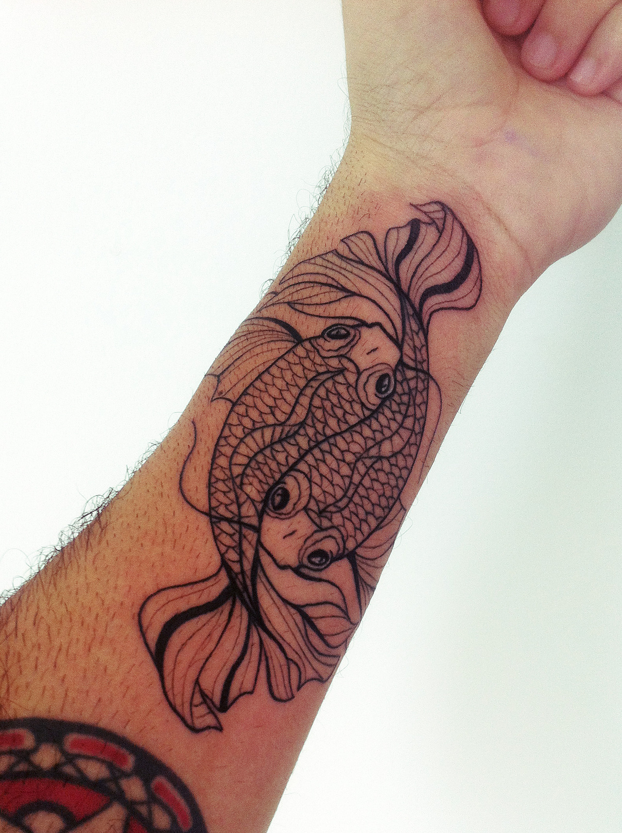 Pisces Koi Fish Tattoo On Forearm