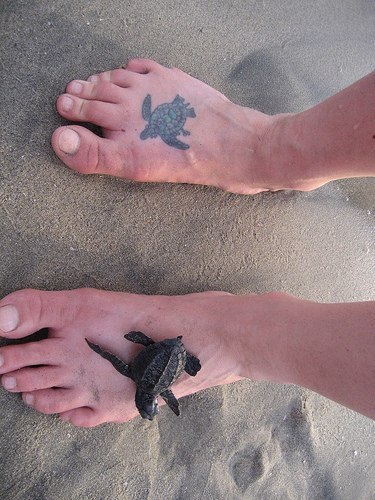 Turtle Foot Tattoo