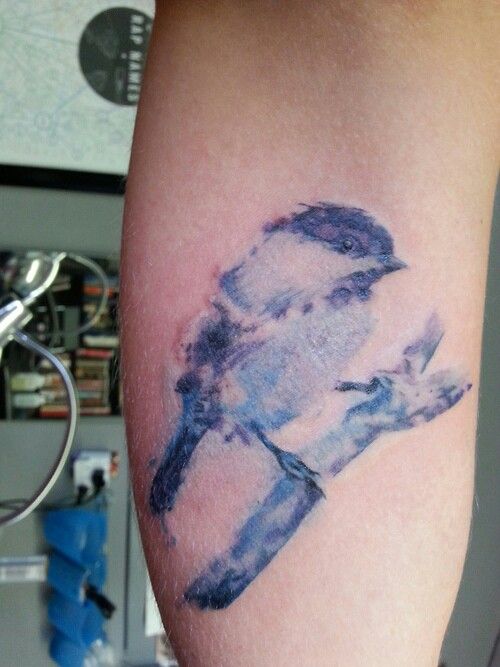 Watercolor Bird Tattoo 2012