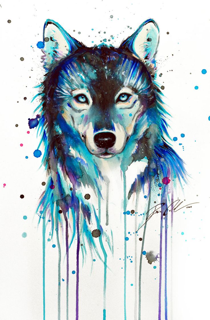 Watercolor Dark Wolf Drawing