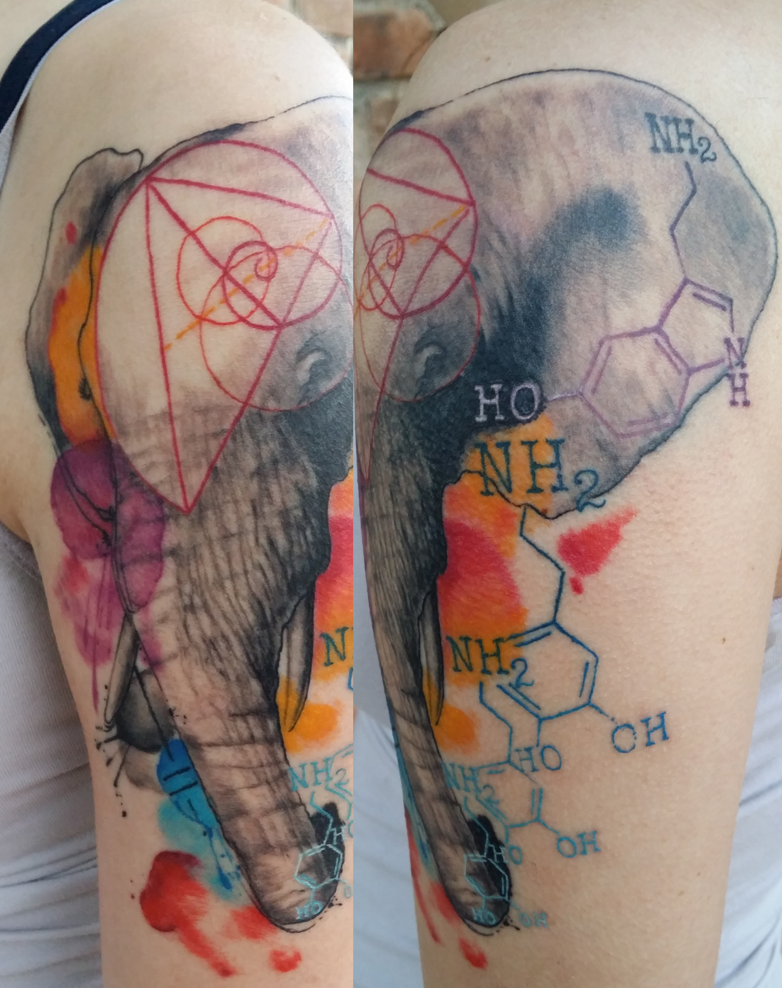 Watercolor Elephant Tattoo new